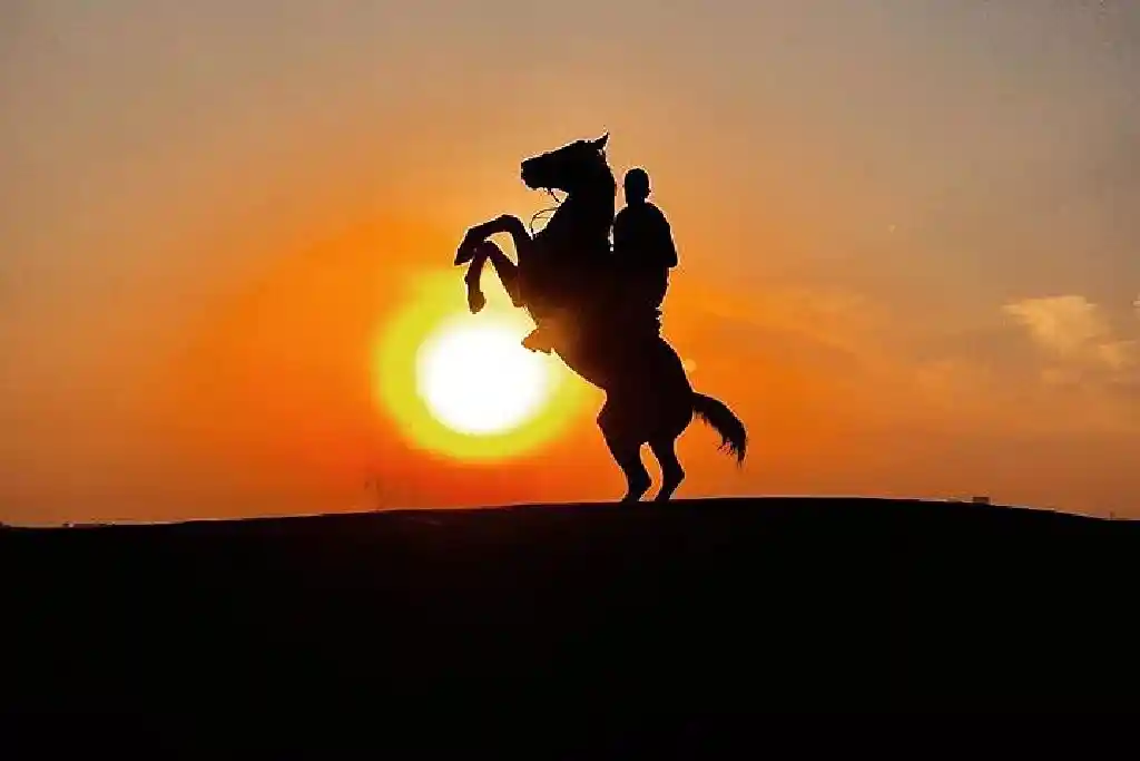 Dune Bashing Dubai - Desert Safari Tours