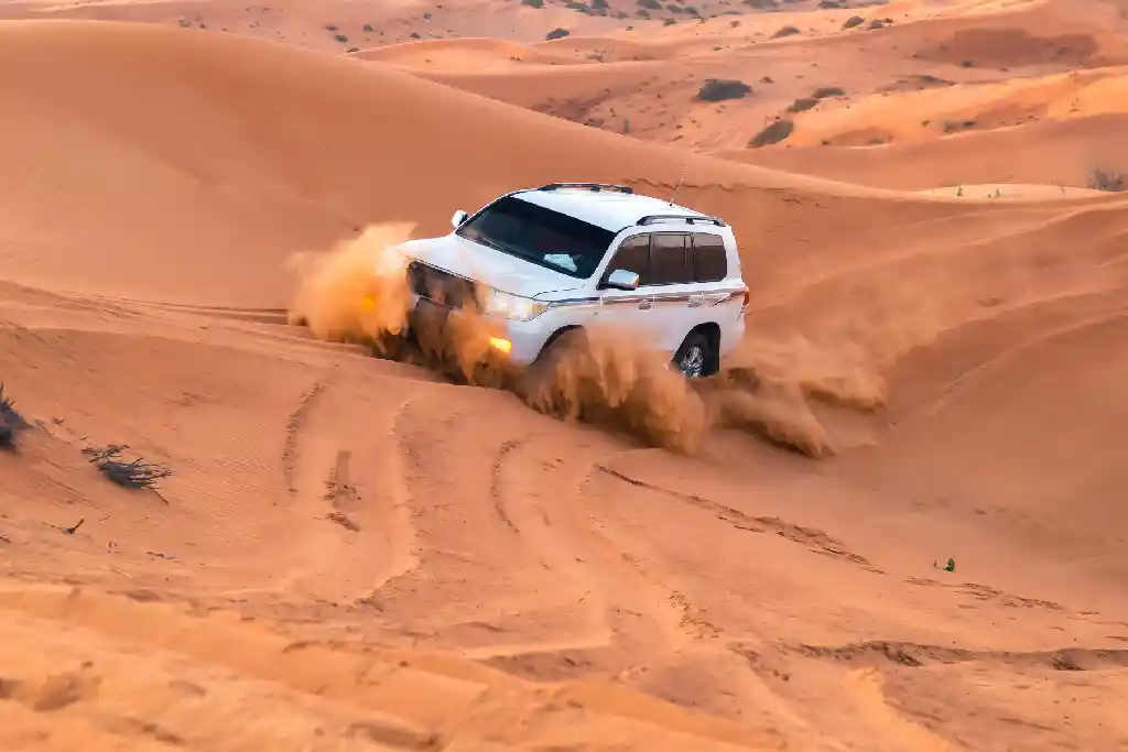 Dune Bashing Dubai - Desert Safari Tours